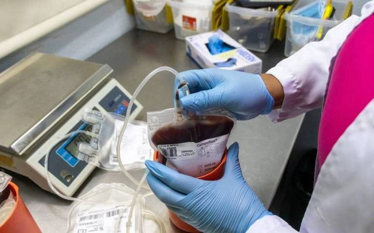 Empleados de Webb salvan vidas con donación de sangre