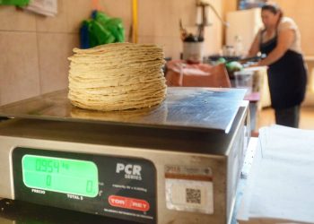 LLEGARÍA A 27 PESOS Tienta a los tortilleros el alza en insumos