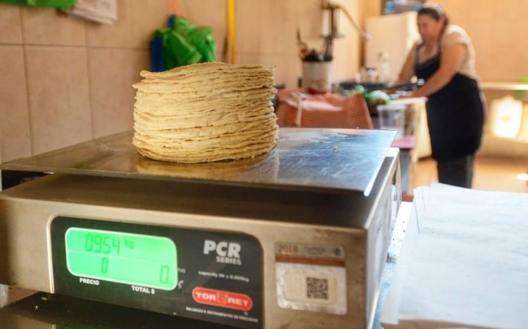 LLEGARÍA A 27 PESOS Tienta a los tortilleros el alza en insumos