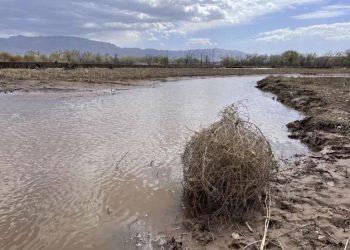 Preocupa agotamiento de agua en el Río Bravo