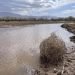 Preocupa agotamiento de agua en el Río Bravo