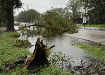 CERCA DE HOUSTON Impacta Beryl como huracán categoría 1