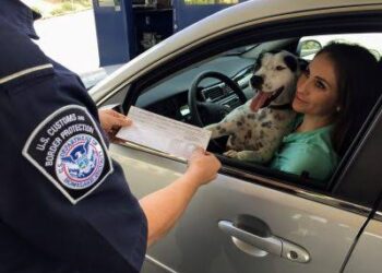 POR CASOS DE RABIA Aplican nuevas restricciones para mascotas en la frontera
