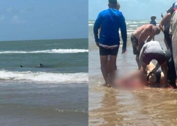 Trágico Fallecimiento de Mujer Atacada por Tiburón en Isla del Padre