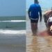 Trágico Fallecimiento de Mujer Atacada por Tiburón en Isla del Padre