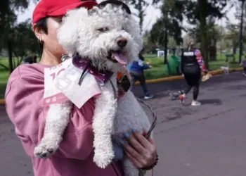 El Poder de las Mascotas en la Salud Integral