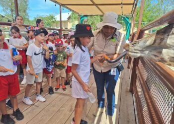 Estimulan a menores con actividades en Zoológico