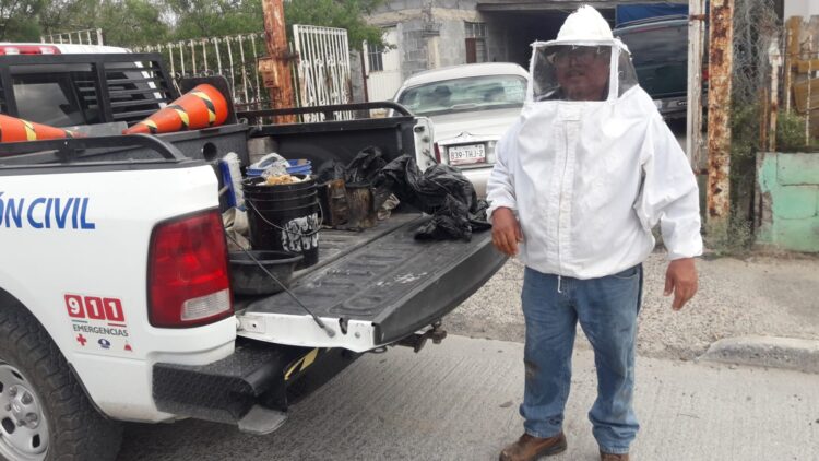 Exhorta PC reportar enjambres de abejas; piden prevenir accidentes