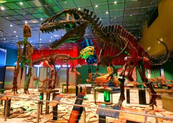 Invita Gobierno Municipal a divertirse en los museos