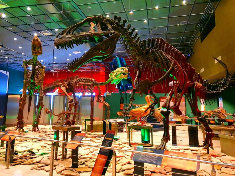 Invita Gobierno Municipal a divertirse en los museos