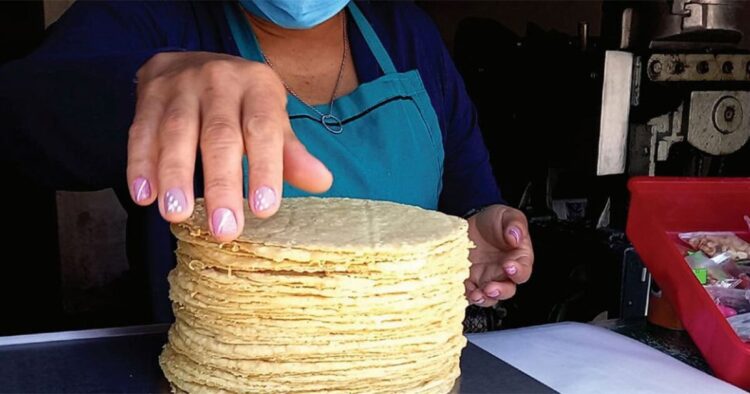 Subirá el precio de la tortilla de maíz