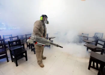 México Reporta 80 Muertes y Más de 30 Mil Casos de Dengue