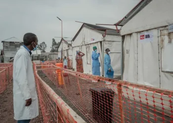 España lidera en Europa los casos de viruela del mono (mpox)