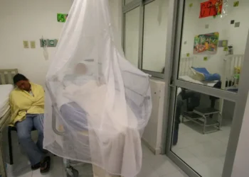 Incremento alarmante en muertes por dengue en México en un año