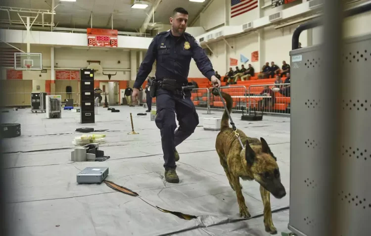 Mantendrán escuelas libres de drogas con Agentes K-9
