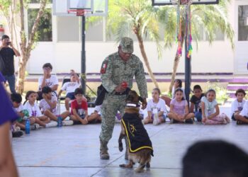 Culmina con éxito campamento de verano DIF Tamaulipas