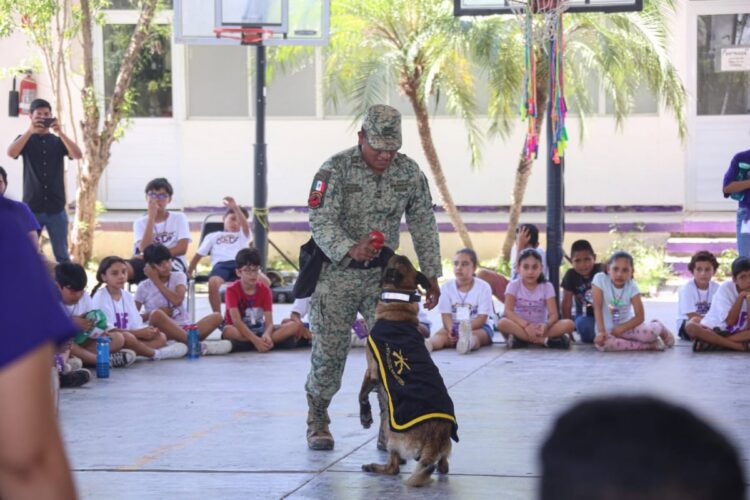Culmina con éxito campamento de verano DIF Tamaulipas