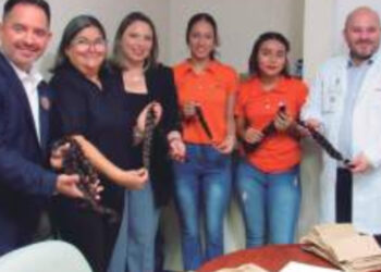 Estudiantes UAT harán campaña para elaborar pelucas oncológicas