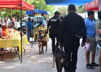 “VERANO SEGURO 2024’’ Aplica SSPT operativo en rutas turísticas