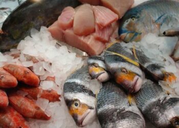 Sin caso de intoxicación por ingesta de mariscos