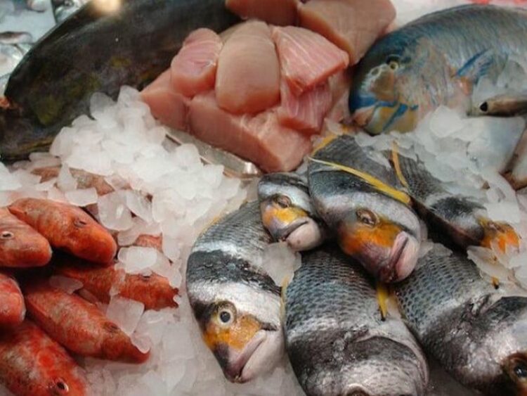 Sin caso de intoxicación por ingesta de mariscos