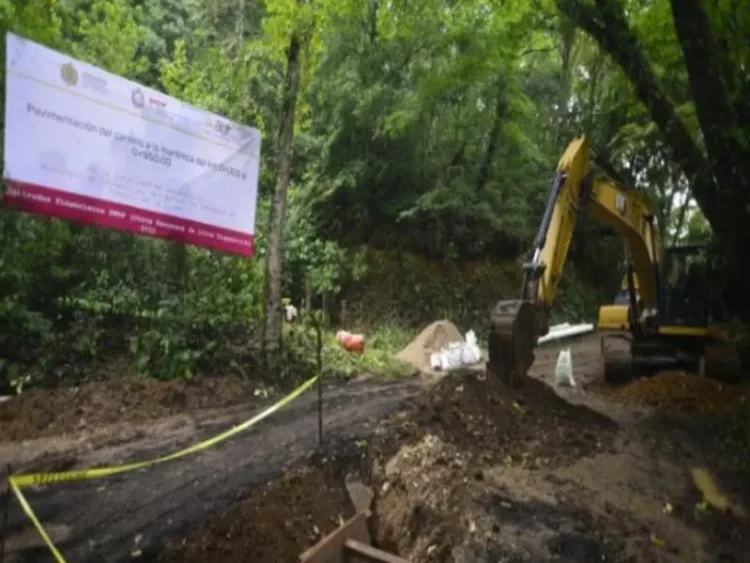 Destruyen área natural protegida para abrir calle que beneficiará a gobernador de Veracruz