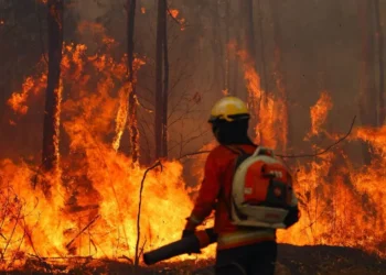 Bolivia Declara Emergencia Nacional por Incendios Forestales Desvastadores
