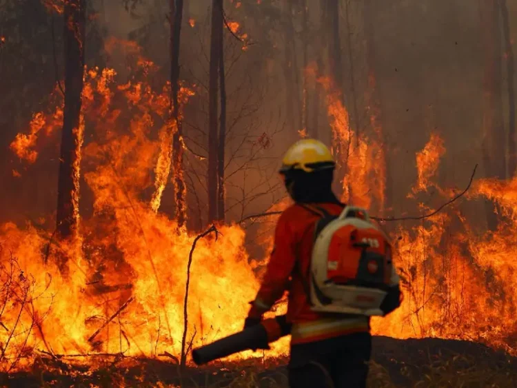 Bolivia Declara Emergencia Nacional por Incendios Forestales Desvastadores