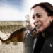Kamala Harris visitará la frontera entre EU y México para abordar la migración