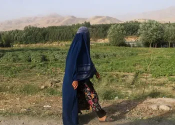 Talibanes suavizan retórica ante la ONU mientras aumentan restricciones en Afganistán