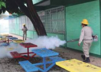 Tamaulipas registra tres muertes por dengue