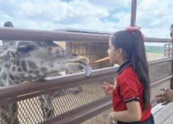 Tendrán Zoológico y Acuario entrada libre en días de asueto
