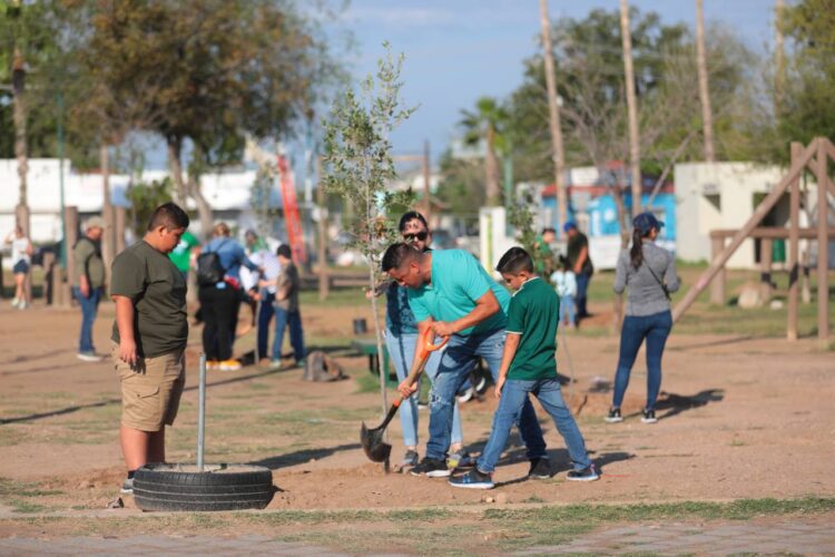 Reforestan espacios públicos con programa municipal “Sembrando Vida”