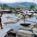 Reactivar la infraestructura hidráulica, prioridad en Acapulco: Sheinbaum