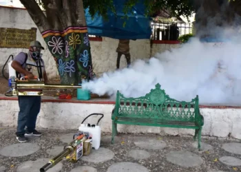 Incrementan en más de 50% los casos y muertes por dengue en México