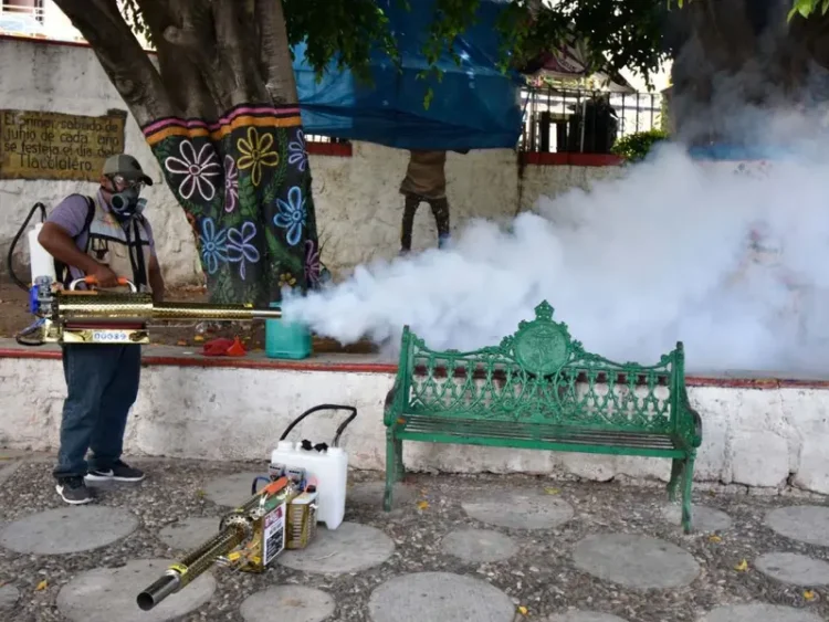 Incrementan en más de 50% los casos y muertes por dengue en México