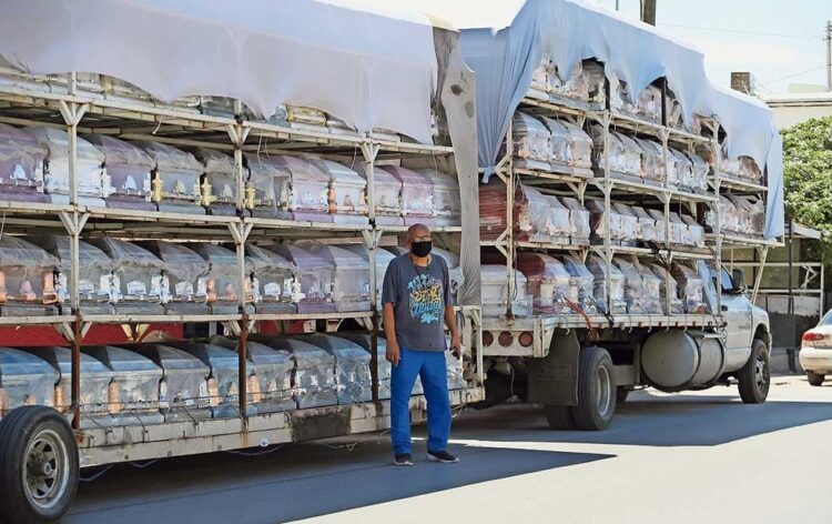 VIVEN DE LA MUERTE Listos para el ‘último viaje’