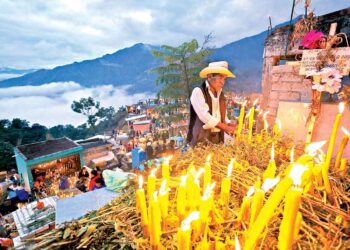 Mariposa Monarca: alma de los difuntos en los santuarios de México