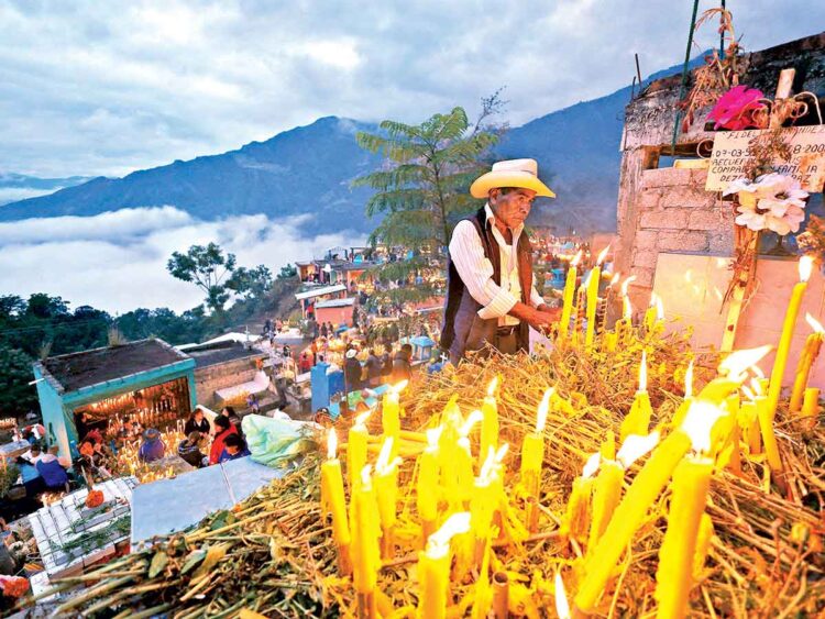 Mariposa Monarca: alma de los difuntos en los santuarios de México