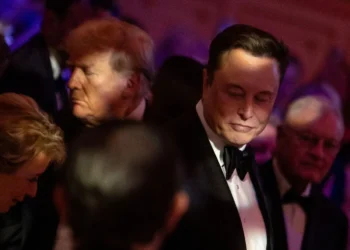 Musk busca “genios” para un polémico proyecto gubernamental en EE.UU.