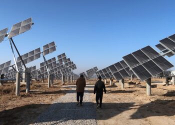 Sobreoferta de energía solar en Australia genera desperdicio