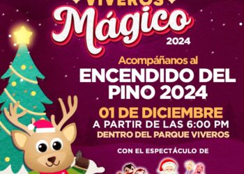 Invita Gobierno a encendido del Pino Navideño en Parque Viveros