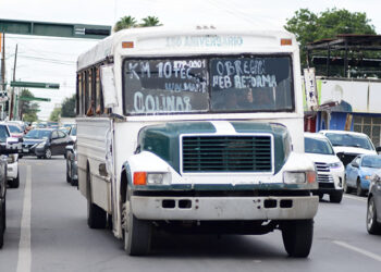 Crean grupos de WhatsApp de rutas de camiones urbanos