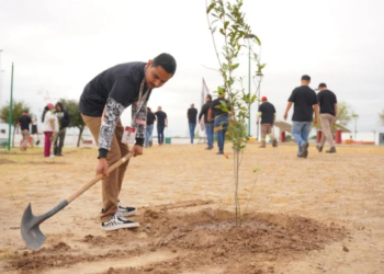 GOBIERNO MUNICIPAL Plantarán más de 3 mil árboles en NLD