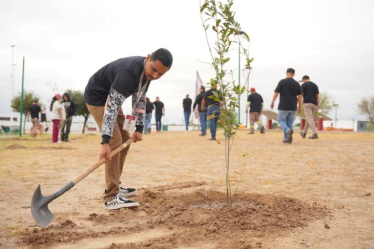 GOBIERNO MUNICIPAL Plantarán más de 3 mil árboles en NLD