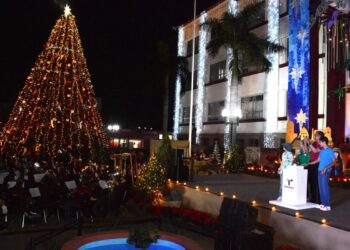 Encienden Américo y María monumental pino navideño