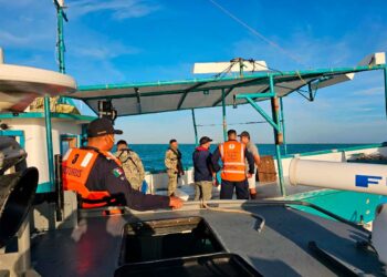 Semar asegura 280 kilos de langosta en operativo en Yucatán, la embarcación no tenía permisos