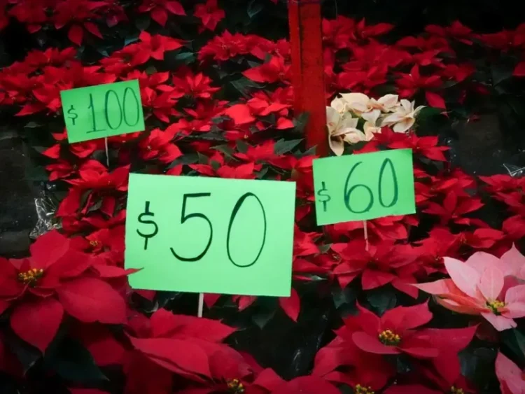 Profeco refuerza operativos para proteger a consumidores en vacaciones