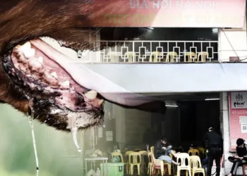 Dueño de restaurante de carne de perro muere por rabia