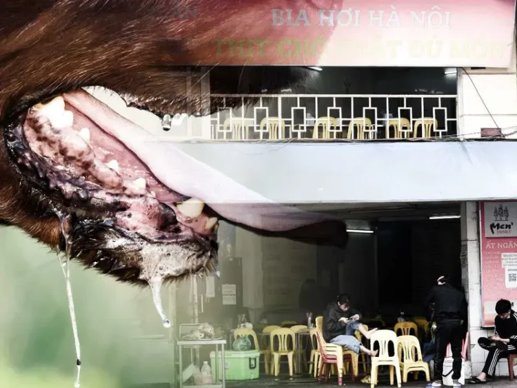 Dueño de restaurante de carne de perro muere por rabia